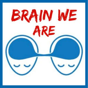 brain-we-are-cz